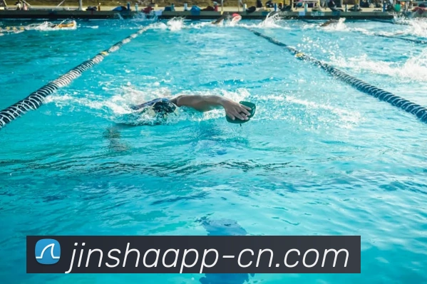 金沙娱乐城官网平台生态图